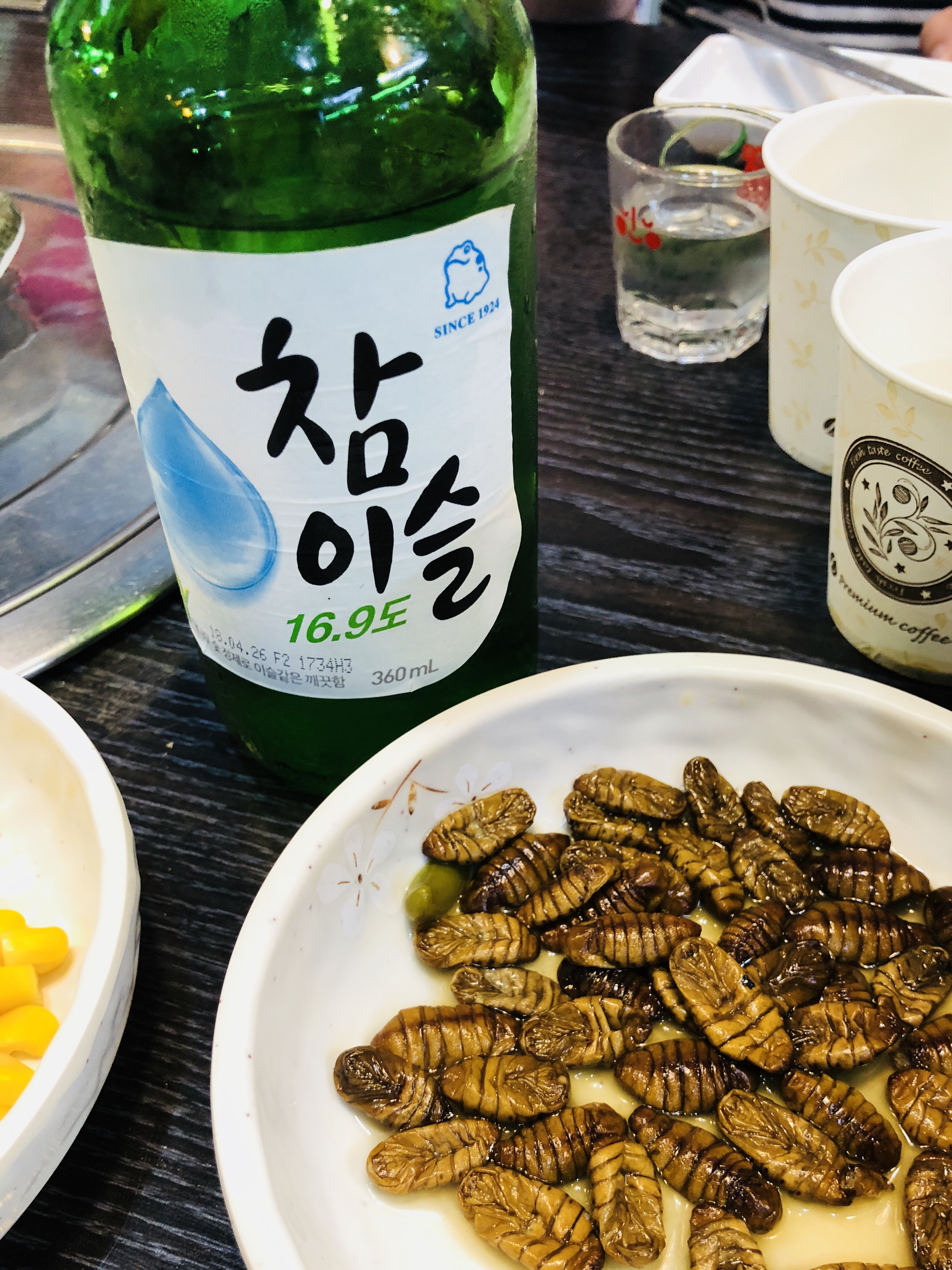 韓国家族四人旅 Ep15【海雲台グルメ】海鮮鍋と刺身とタコの踊り食いとポンテギの味