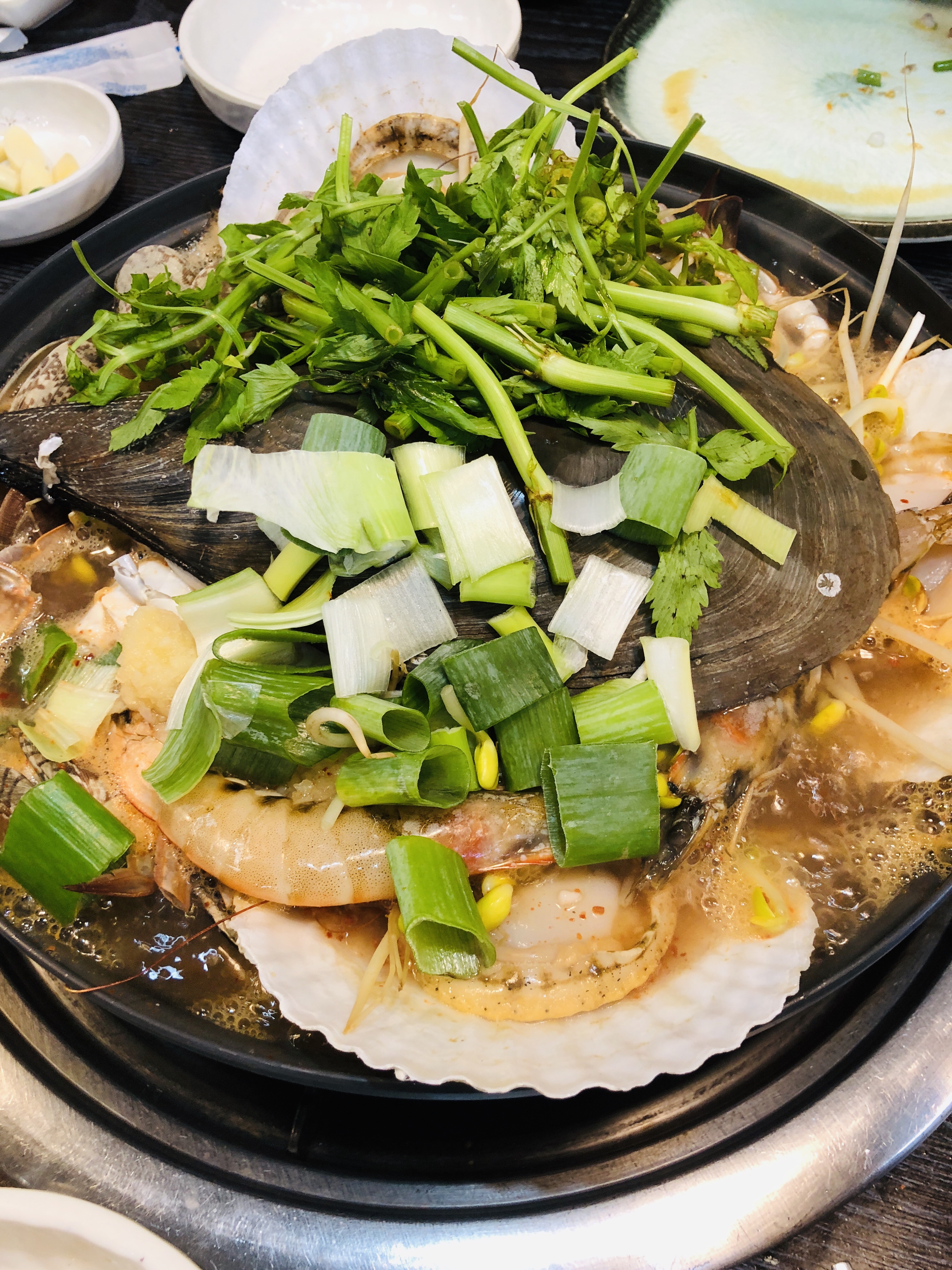 韓国家族四人旅 Ep15【海雲台グルメ】海鮮鍋と刺身とタコの踊り食いとポンテギの味
