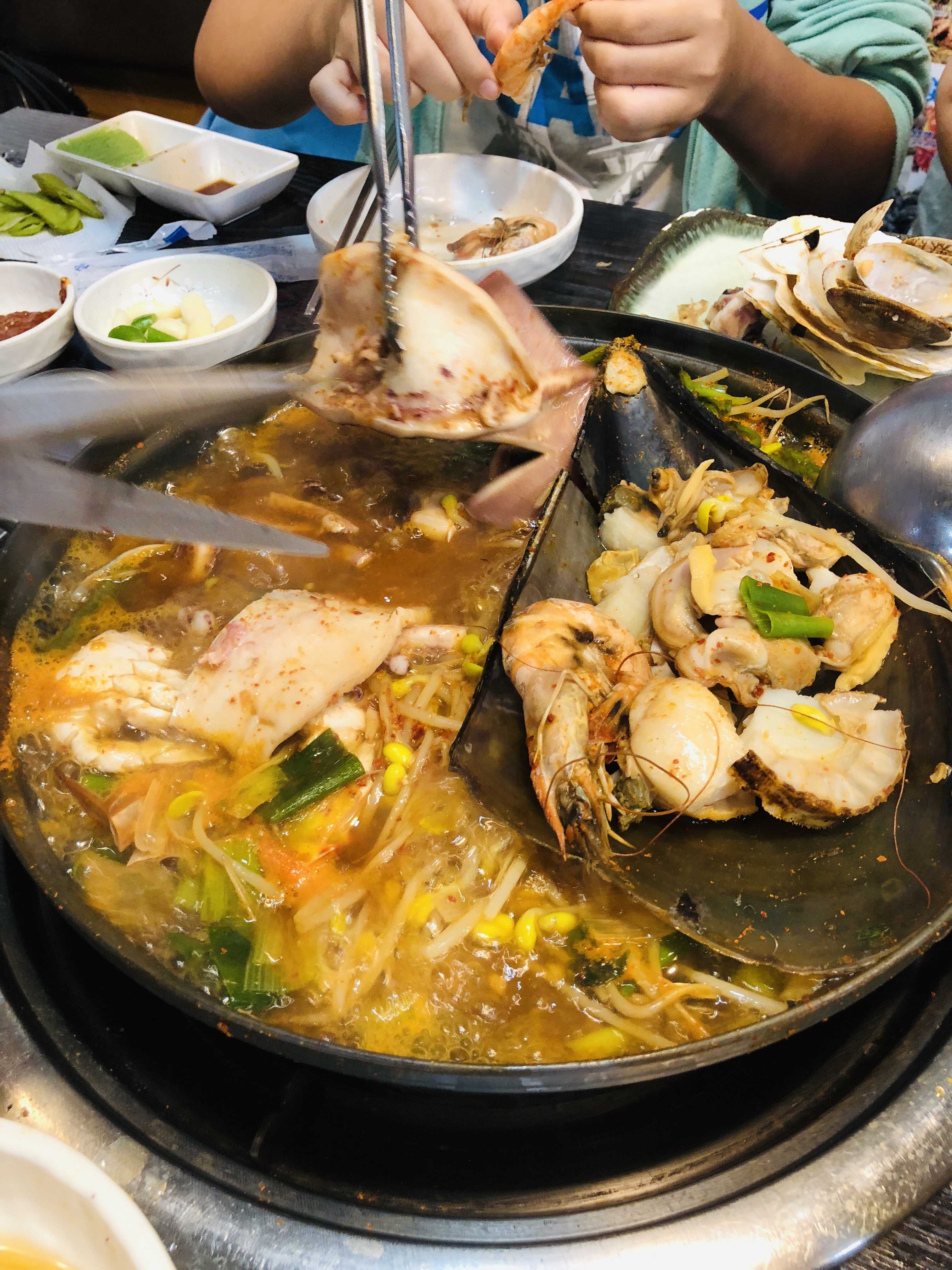 韓国家族四人旅 Ep15【海雲台グルメ】海鮮鍋と刺身とタコの踊り食いとポンテギの味