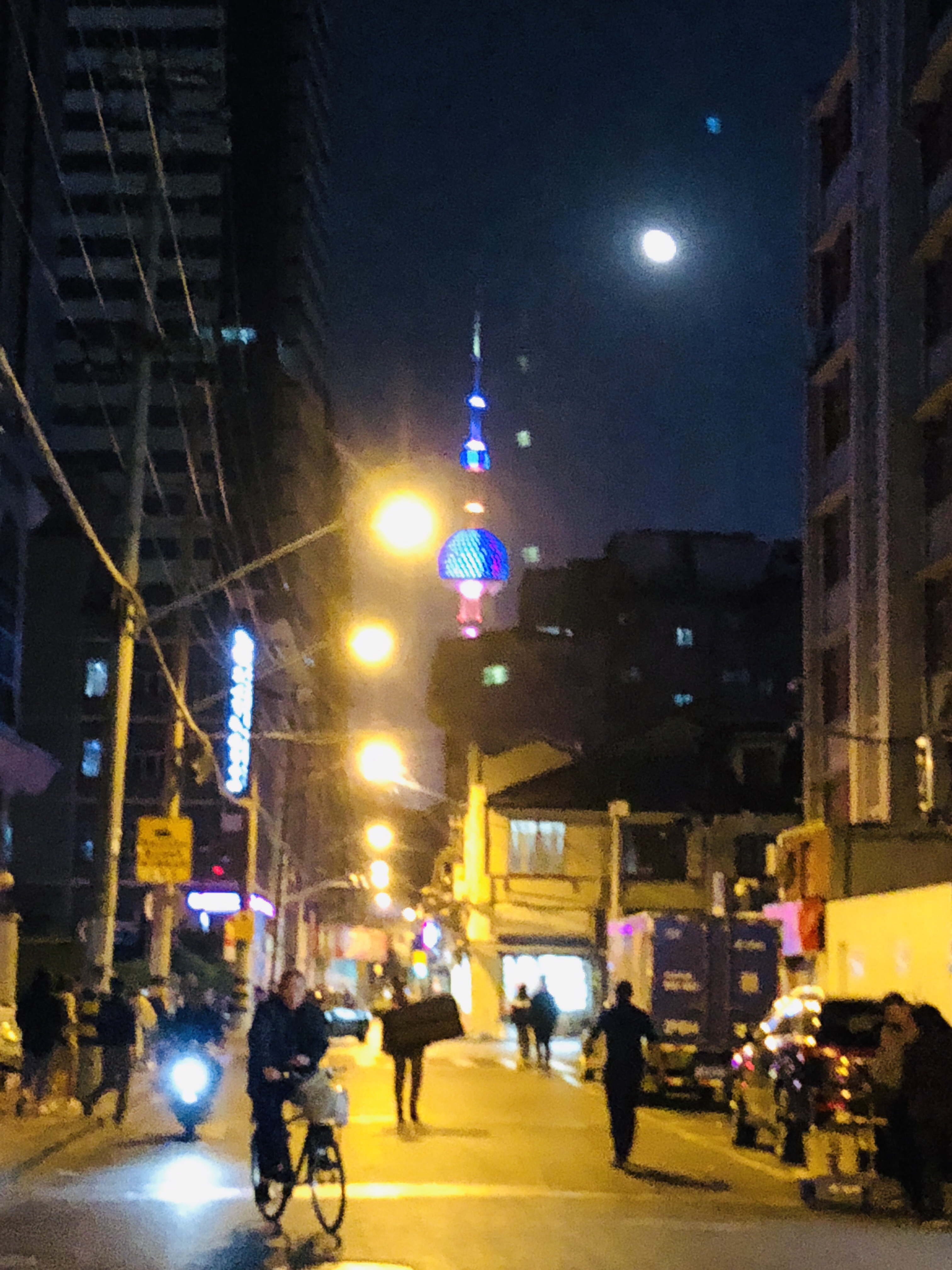 15【南京路グルメ】三瑪璐酒樓の紅焼肉と小籠包