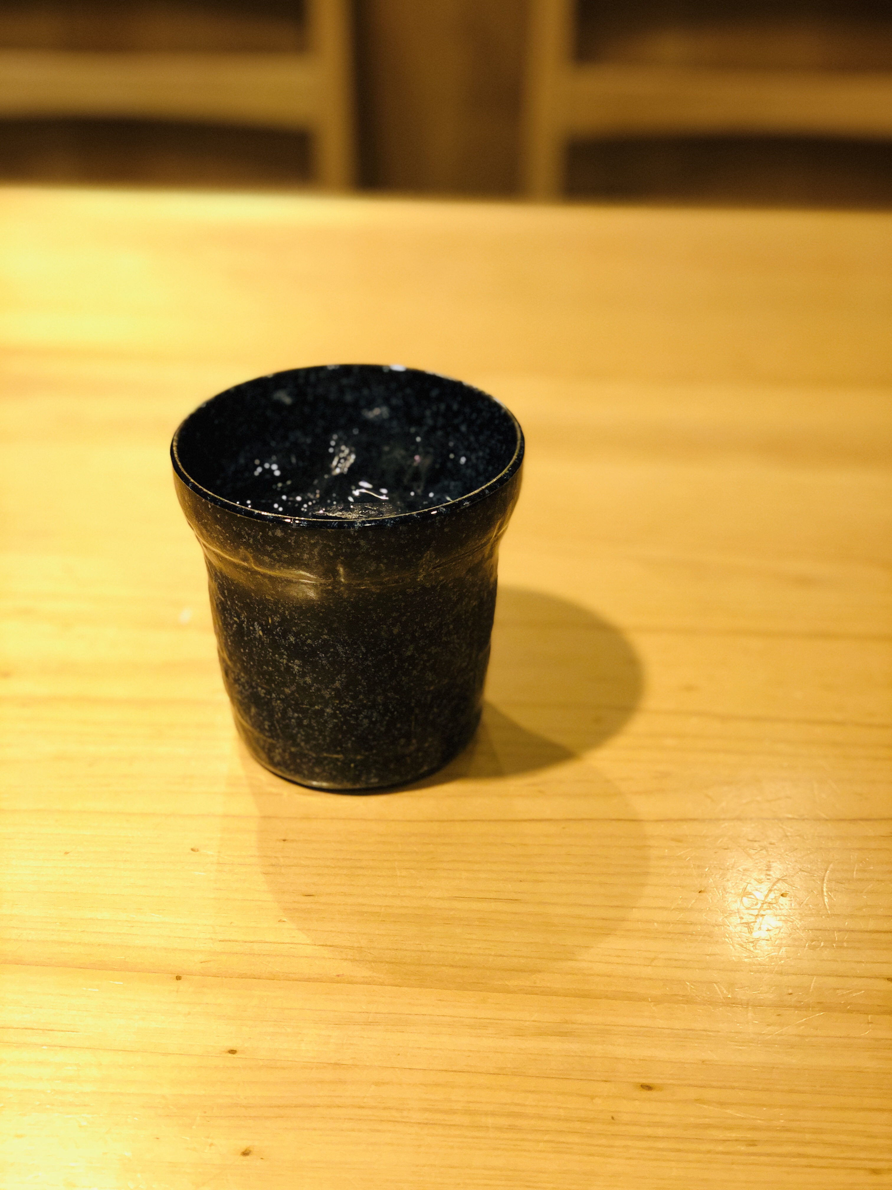 【東京から日帰り旅行】熱海編 下の句 オーシャンスパFuuaでお肉を食べて昼寝して、駅前でお寿司を食べて帰って来た話