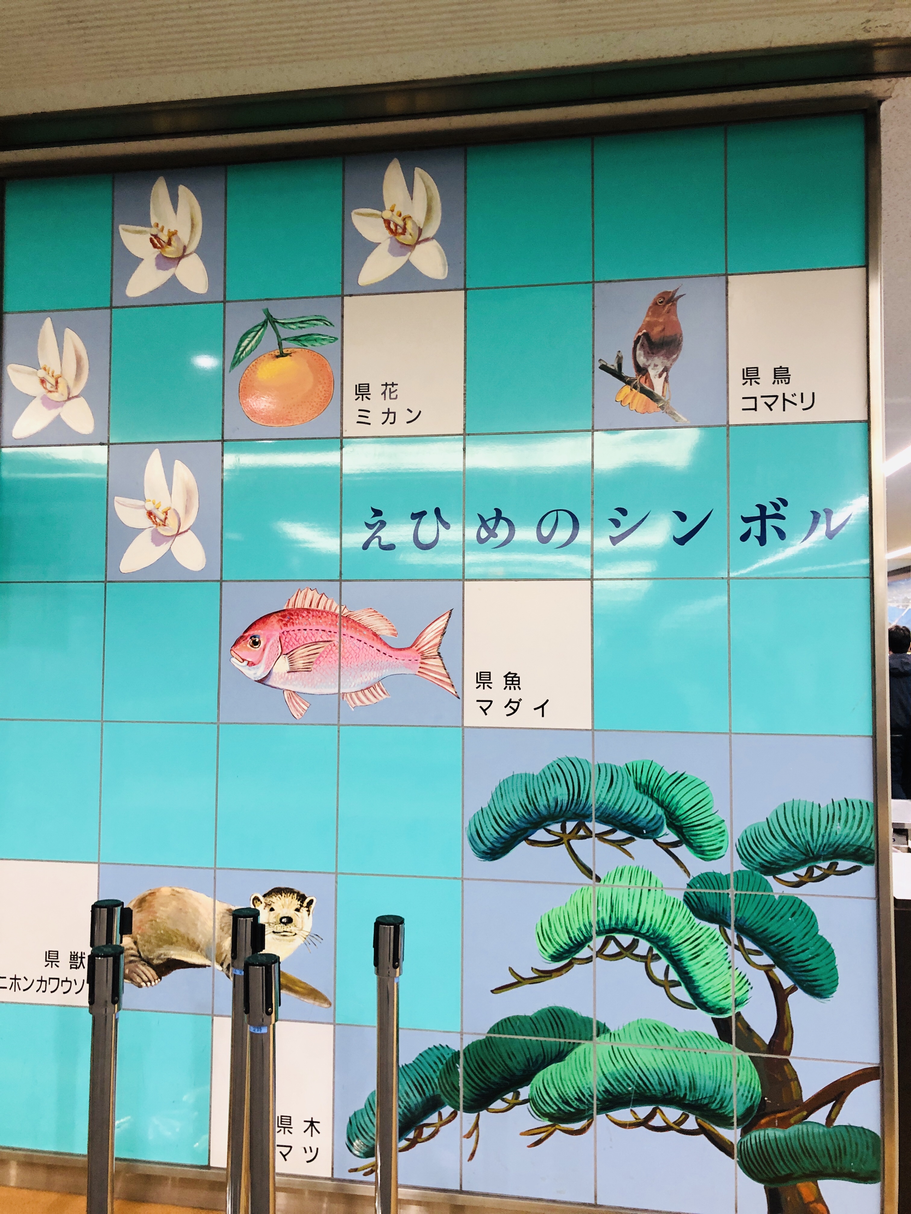 松山旅行 EP18 松山空港の過ごし方
