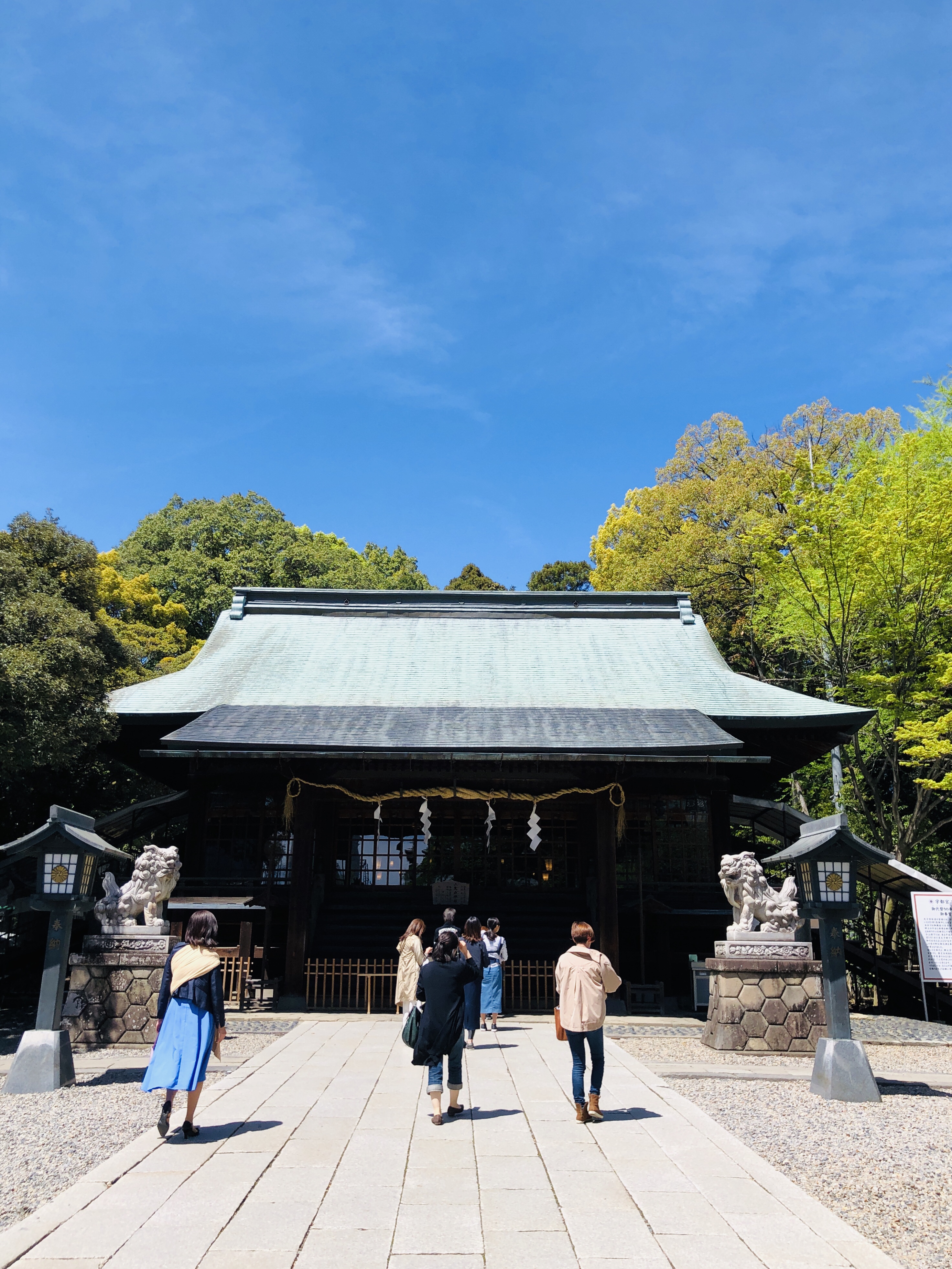 【東京から日帰り旅行】宇都宮編 餃子だけじゃない宇都宮で焼きそばを食べたけど、やっぱり餃子が食べたくで池袋で餃子を食べた話