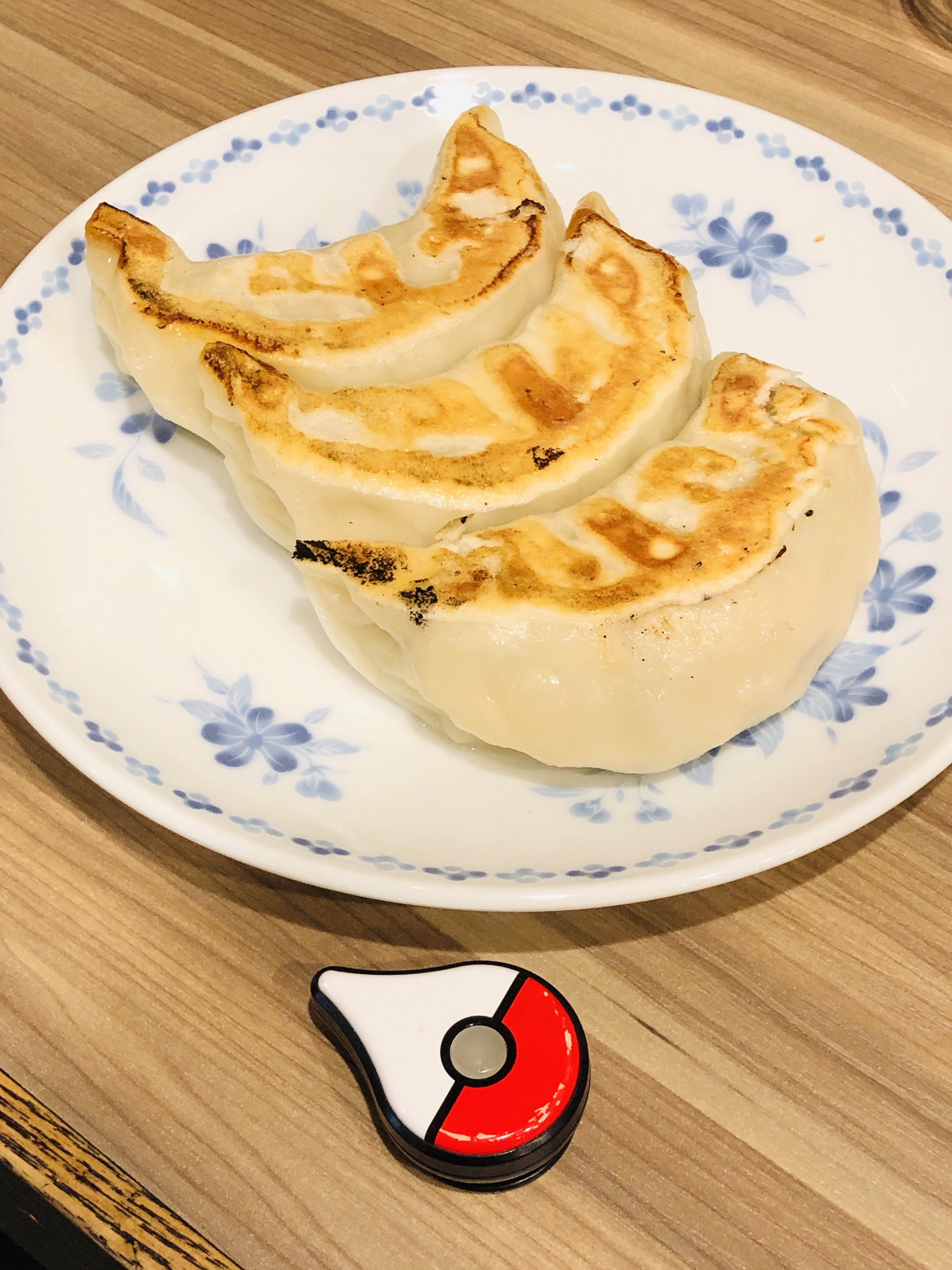 【東京から日帰り旅行】宇都宮編 餃子だけじゃない宇都宮で焼きそばを食べたけど、やっぱり餃子が食べたくで池袋で餃子を食べた話