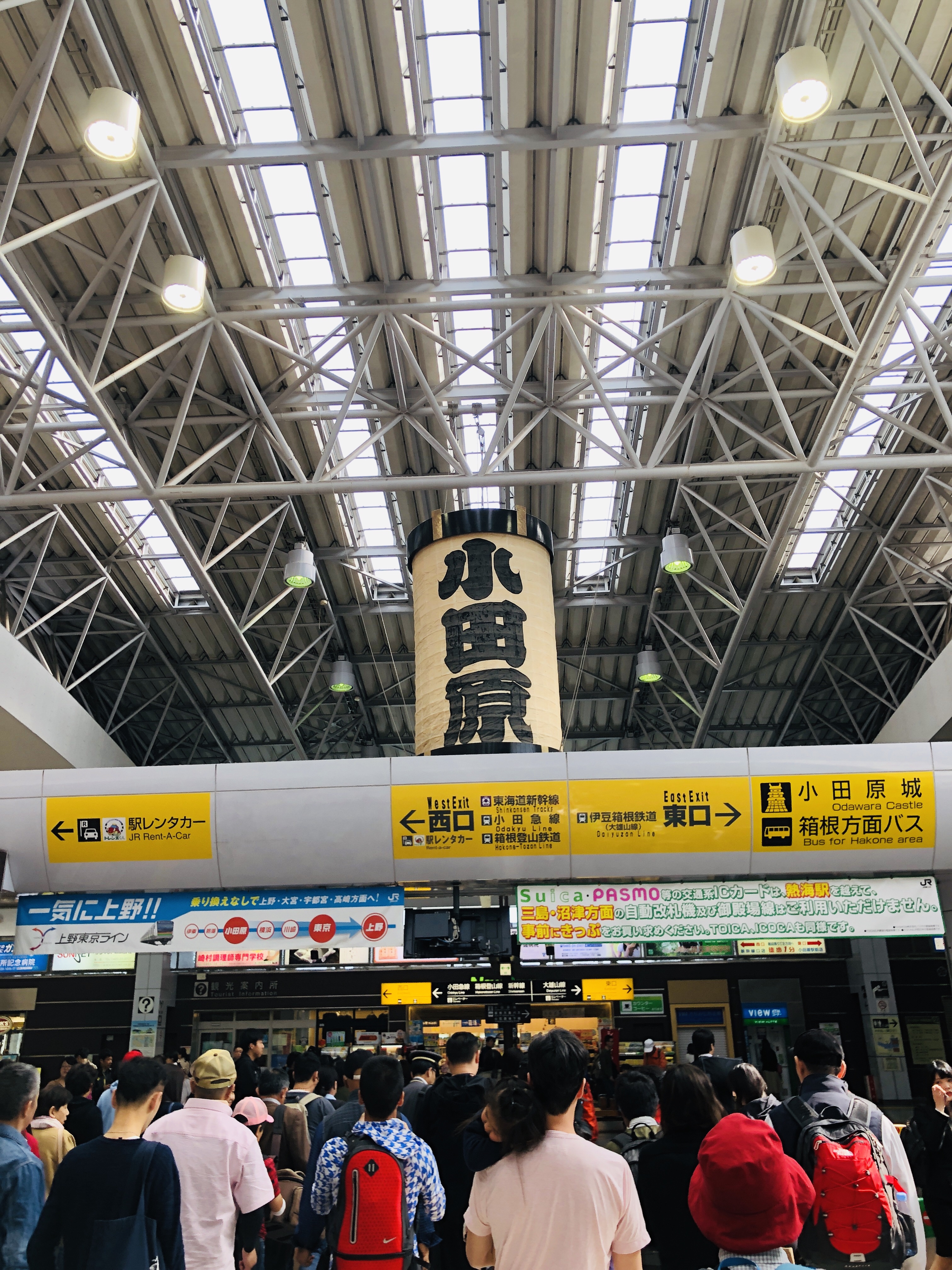 【東京から日帰り旅行】小田原編 小田原城の行き方