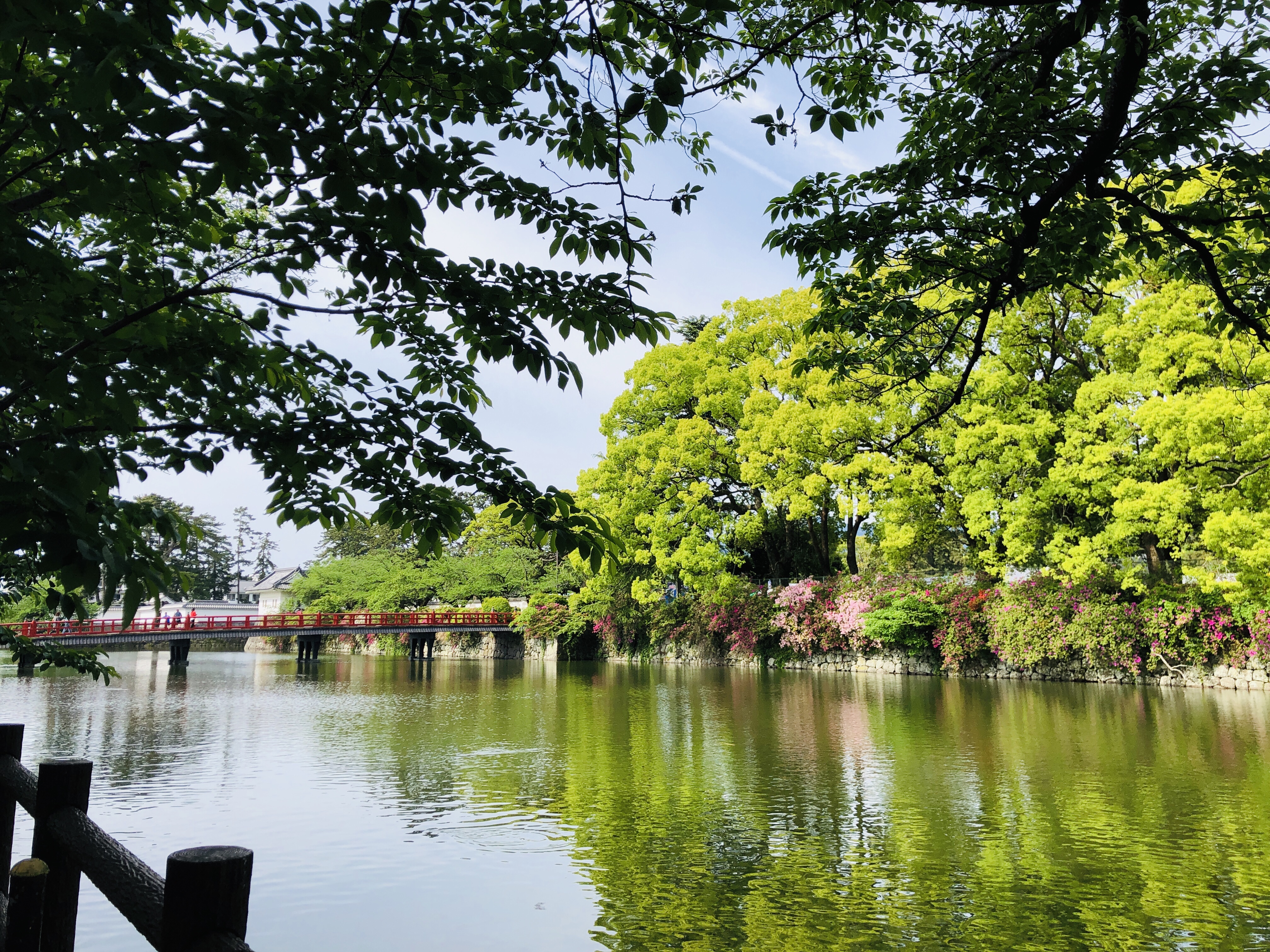 【東京から日帰り旅行】小田原編 小田原城の行き方