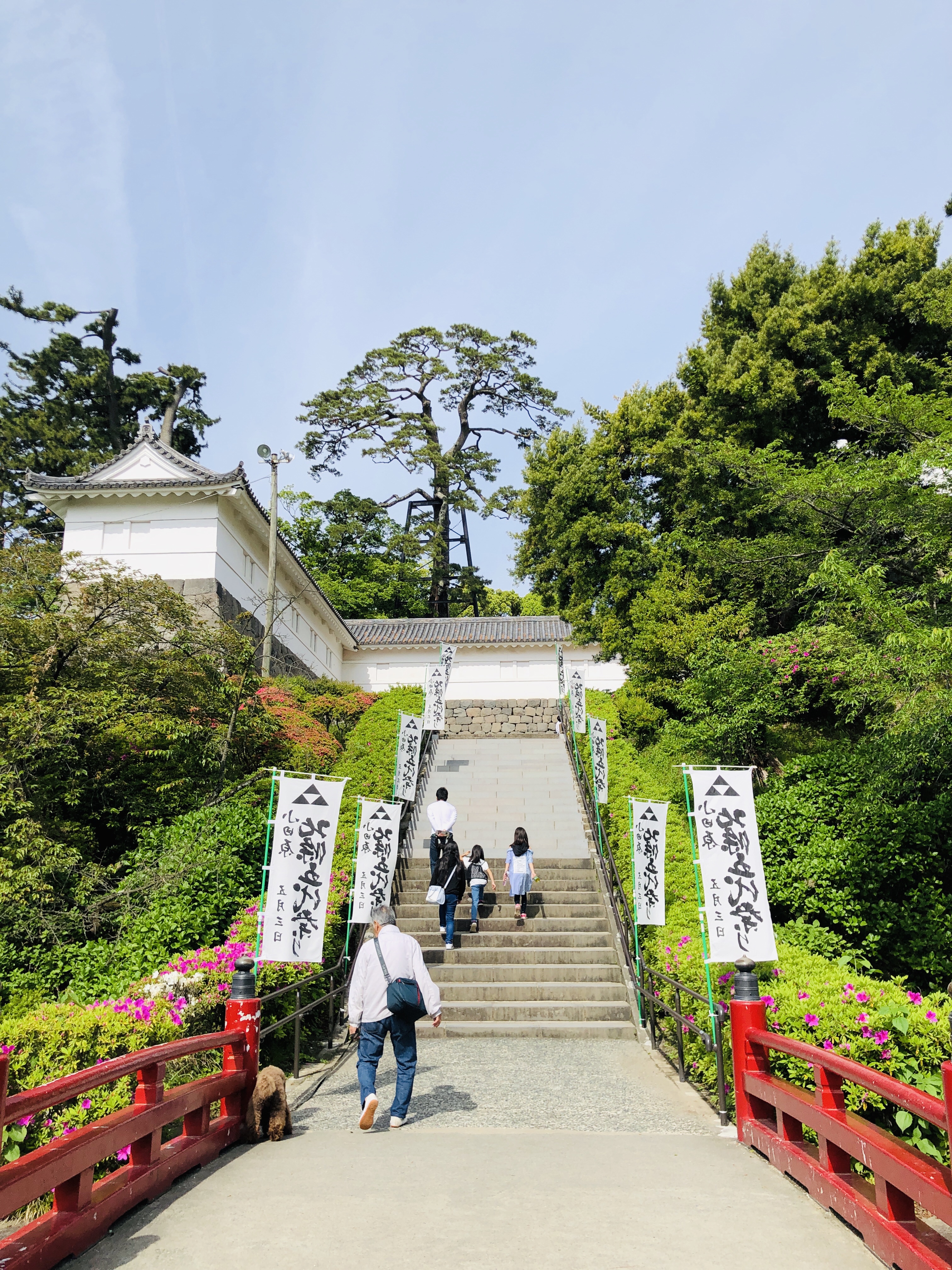 【東京から日帰り旅行】小田原編 小田原城の行き方