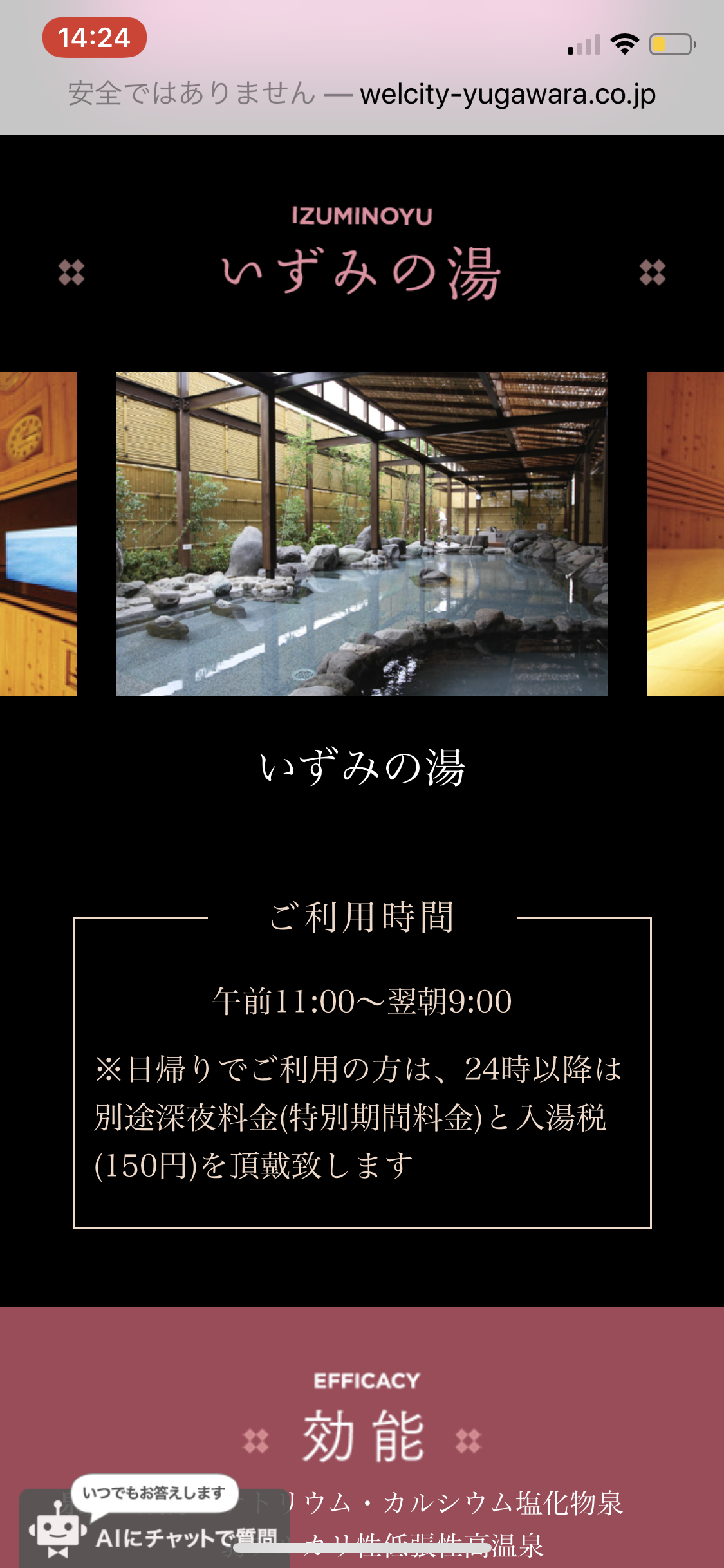 【東京から日帰り旅行】湯河原編 結び ニューウェルシティ湯河原 いずみの湯