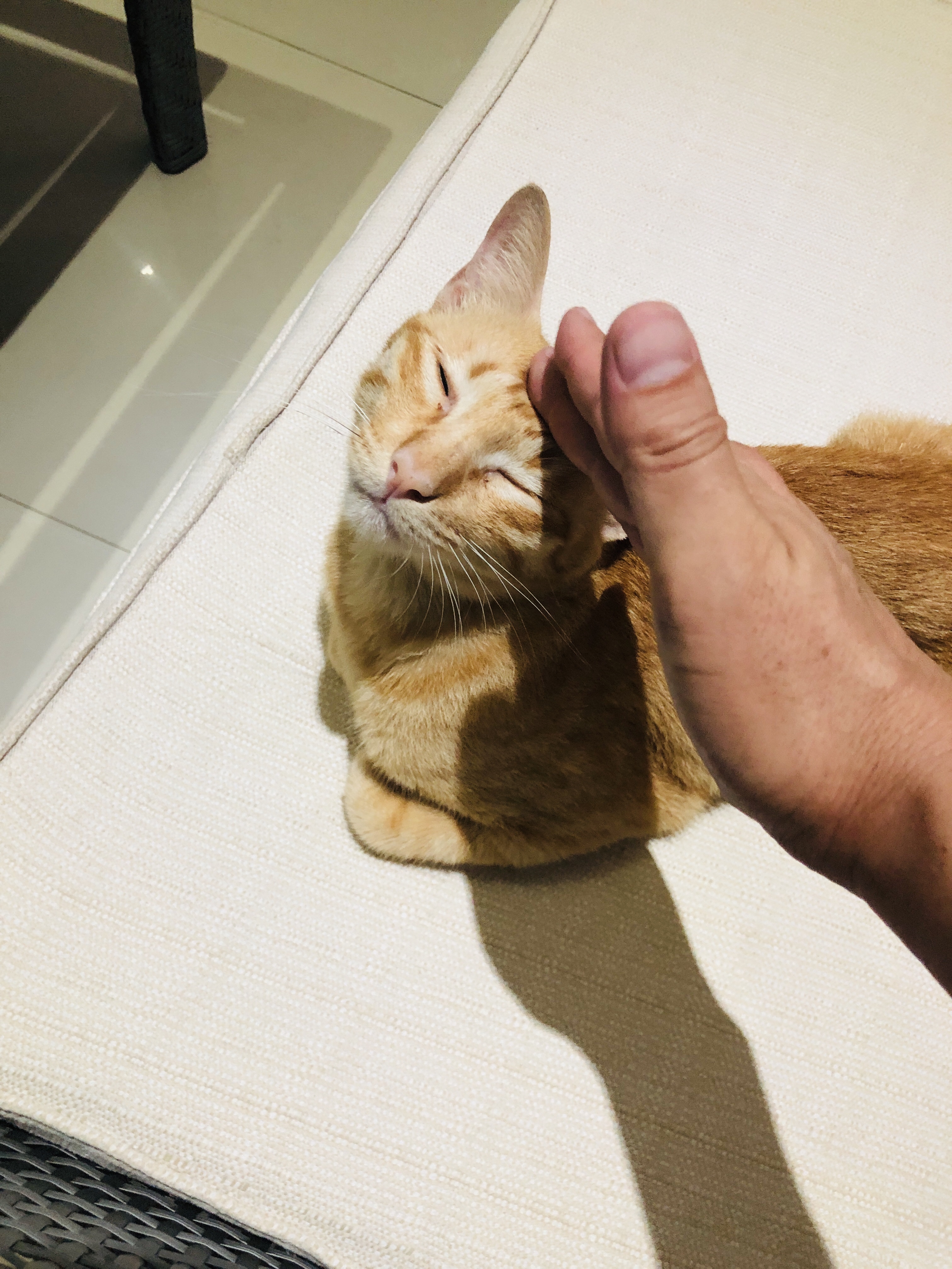 クラビ旅行記 13【クラビタウン】ナイトマーケットとソンテウ乗り場