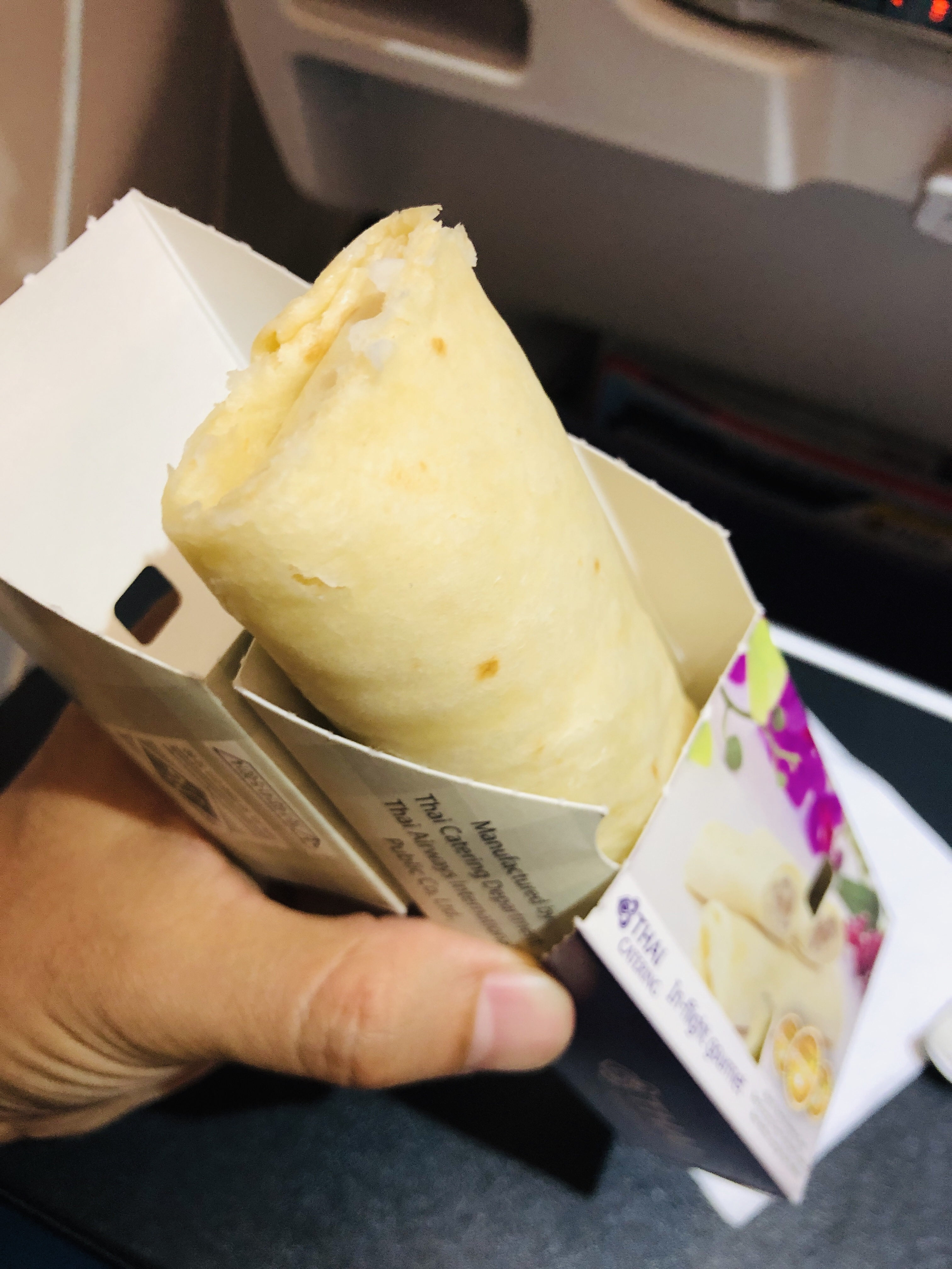 クラビ旅行記 24【クラビ空港】タイ航空に乗る方法