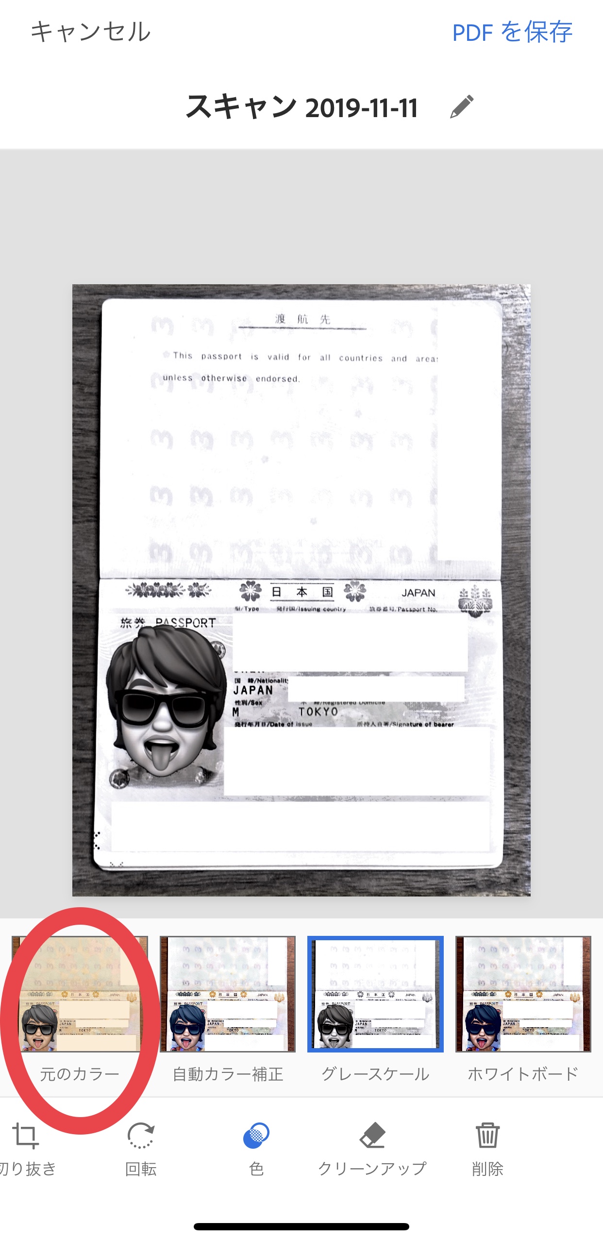 パスポートをPDF化する方法｜スマホで簡単スキャン＆保存！旅行前に必須