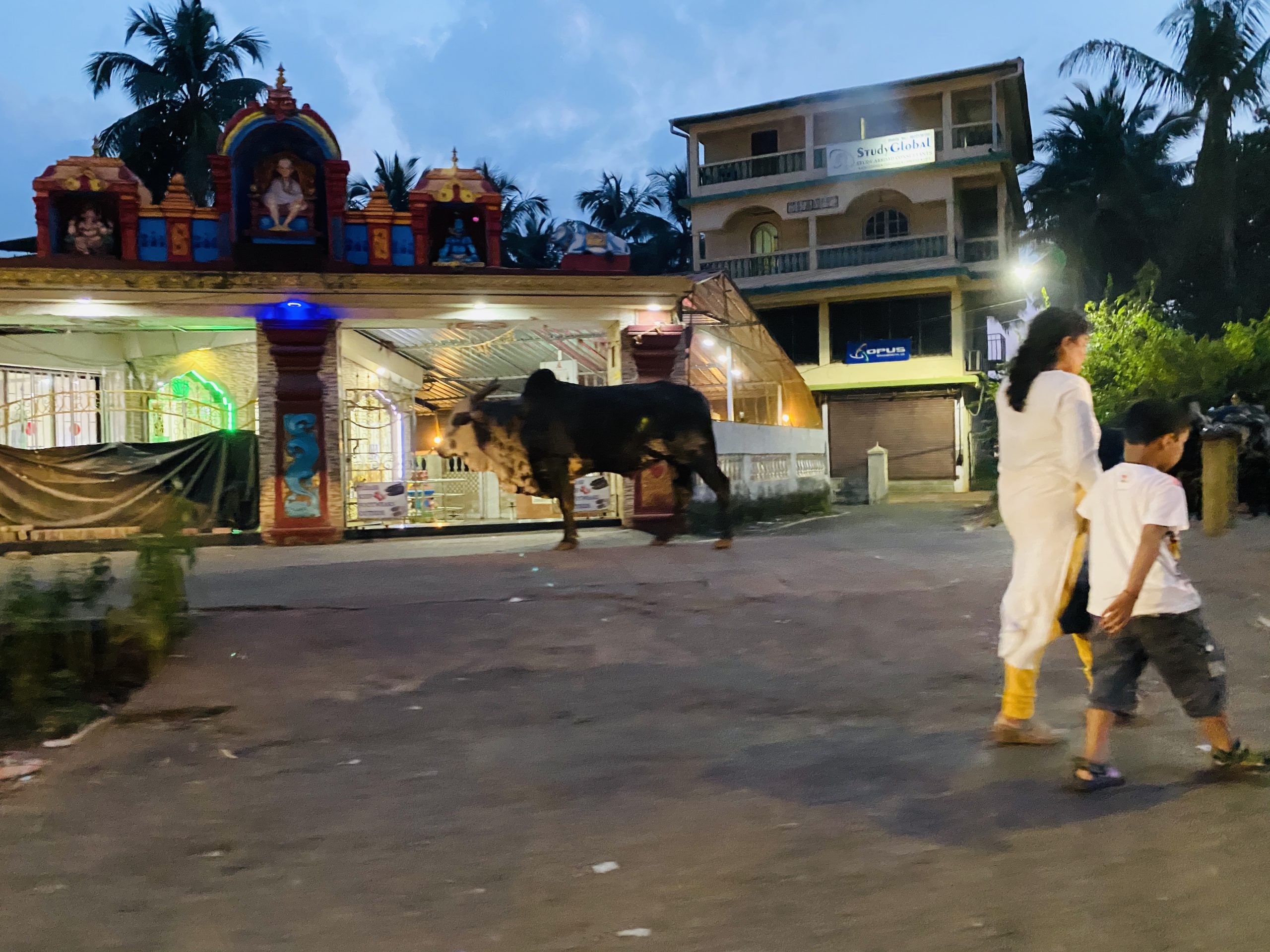 【インド旅行記】EP03 ゴア空港からアンジュナビーチへ タクシーで行く方法