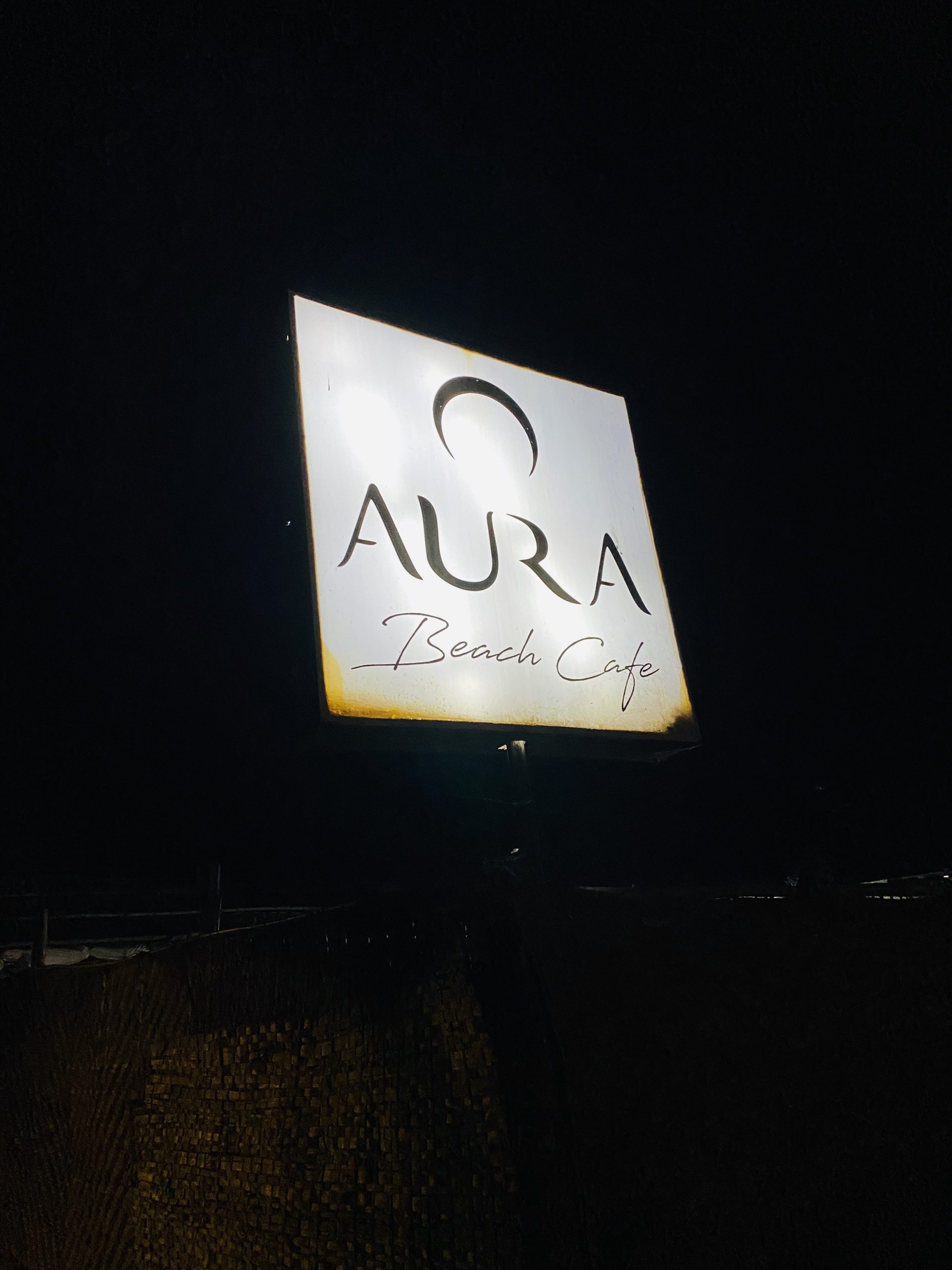 【インド旅行記】EP18 ゴアのトランスパーティ【AURA】