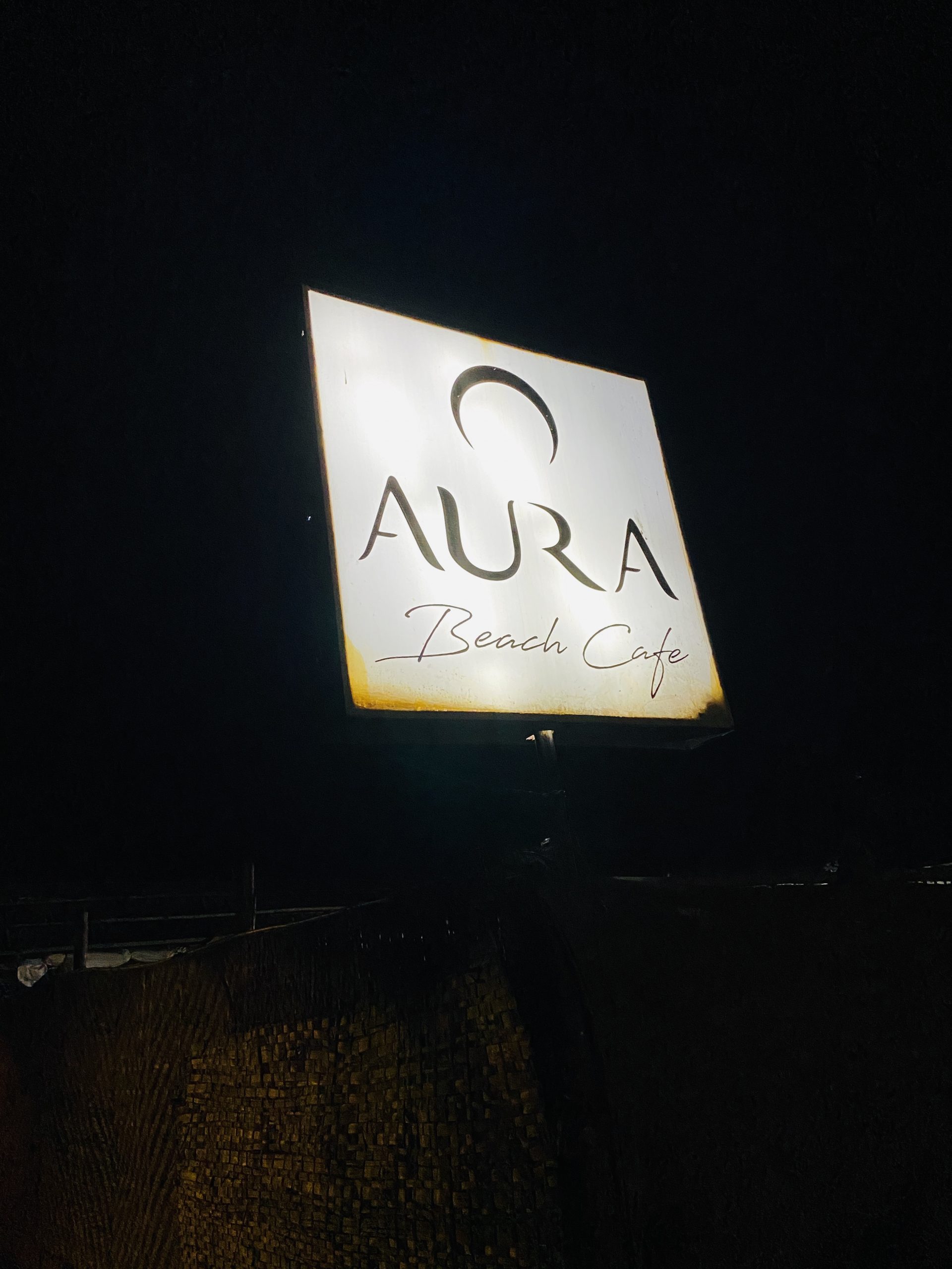 【インド旅行記】EP18 ゴアのトランスパーティ【AURA】
