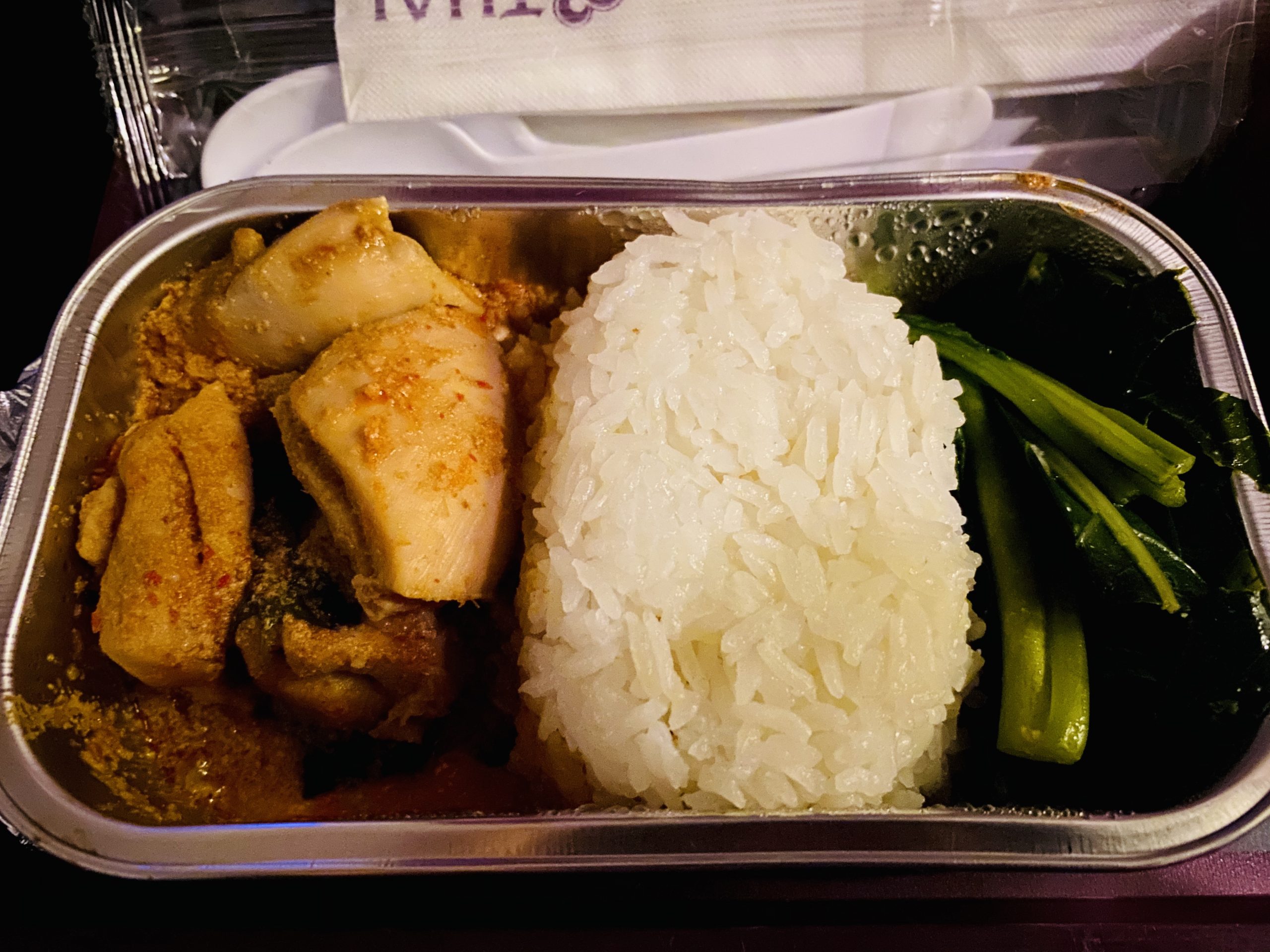 【インド旅行記】EP22 ゴア空港から成田空港へ