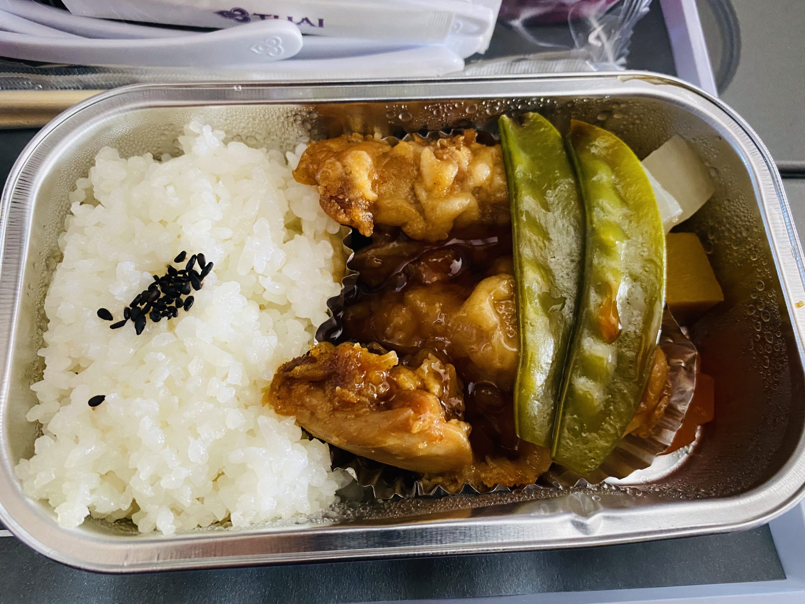 【インド旅行記】EP22 ゴア空港から成田空港へ
