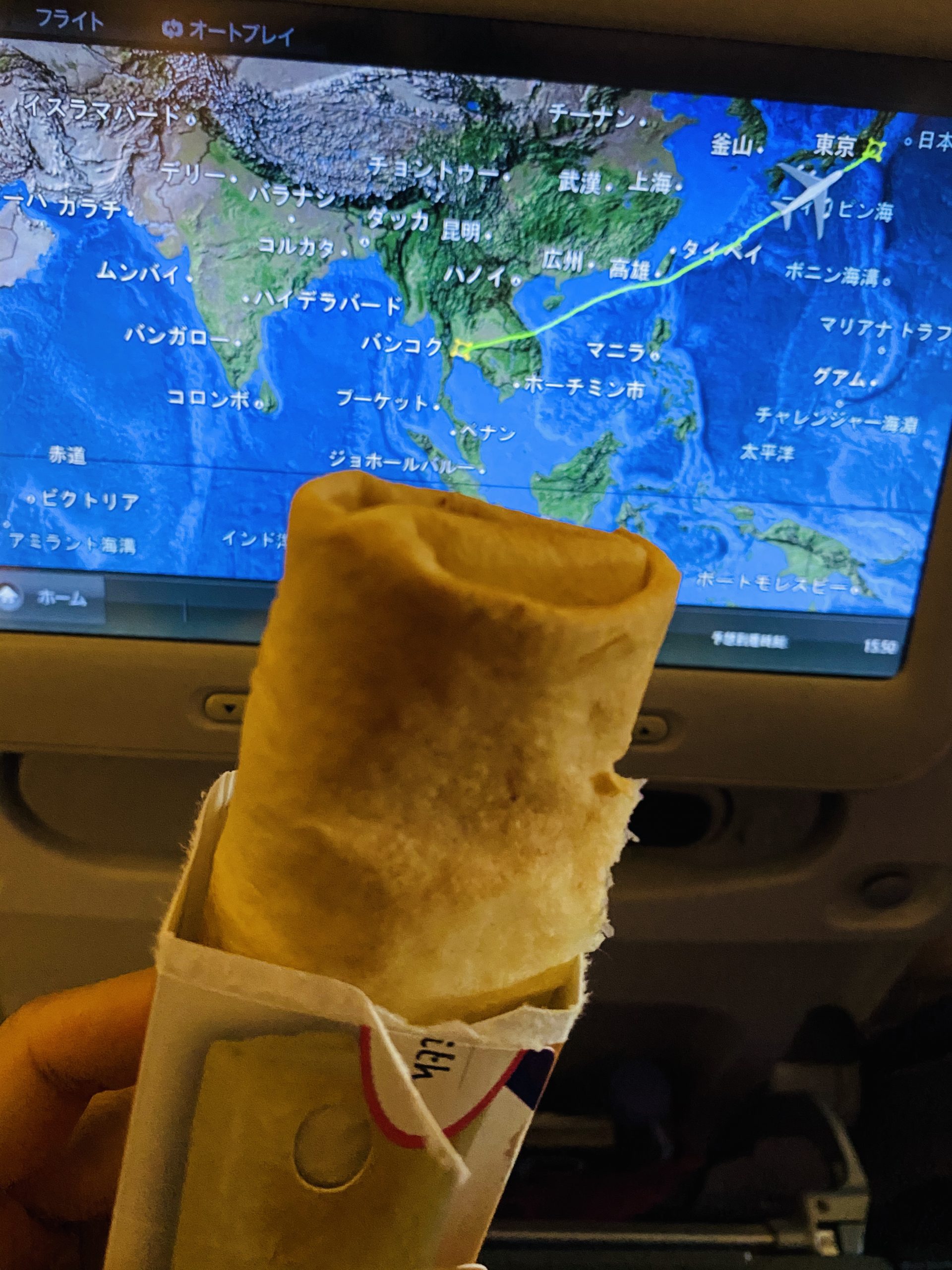 【インド旅行記】EP22 ゴア空港から成田空港へ