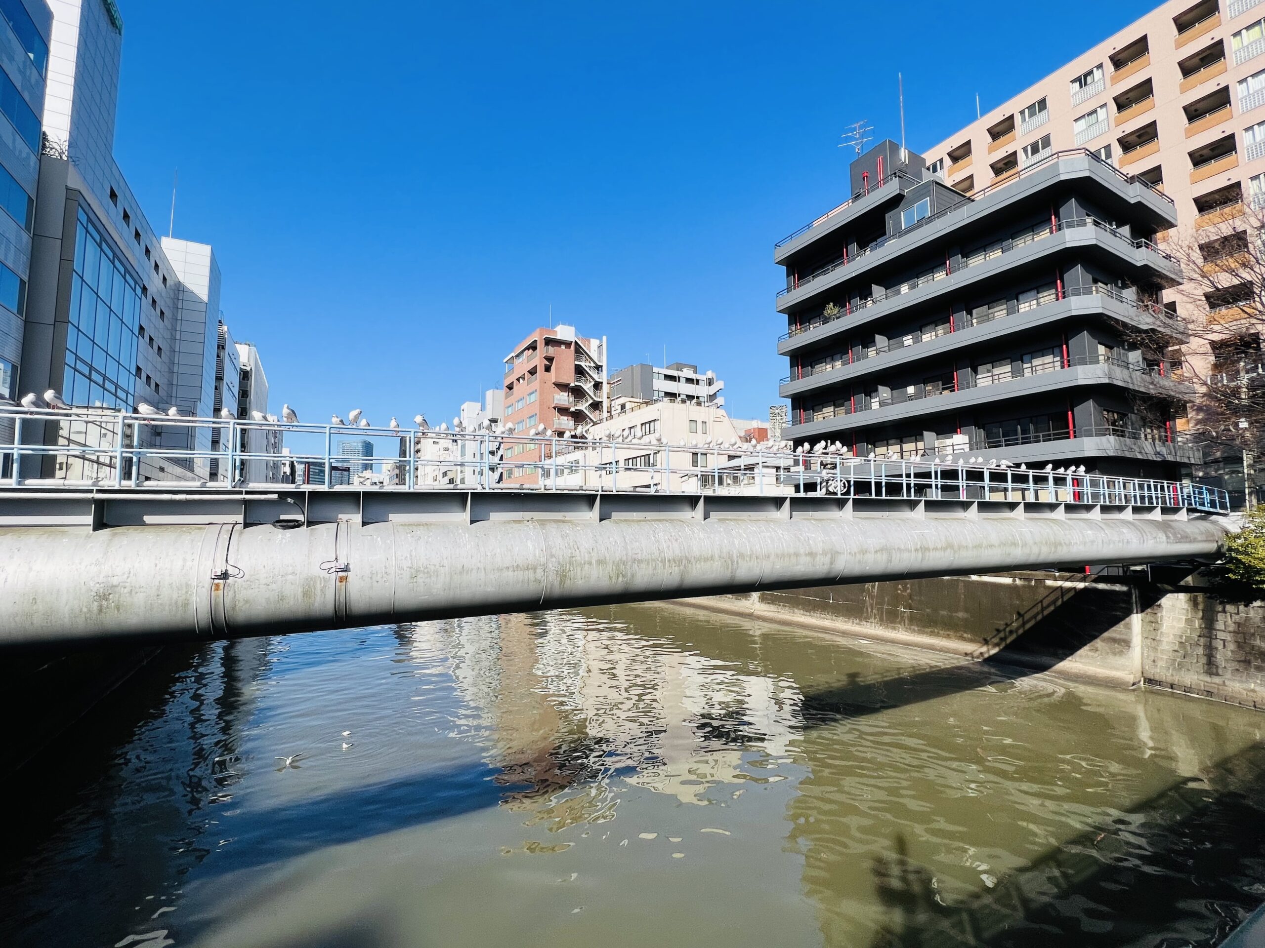 新型コロナ陽性日記⑧ 東京都宿泊療養施設 6日目【退所】