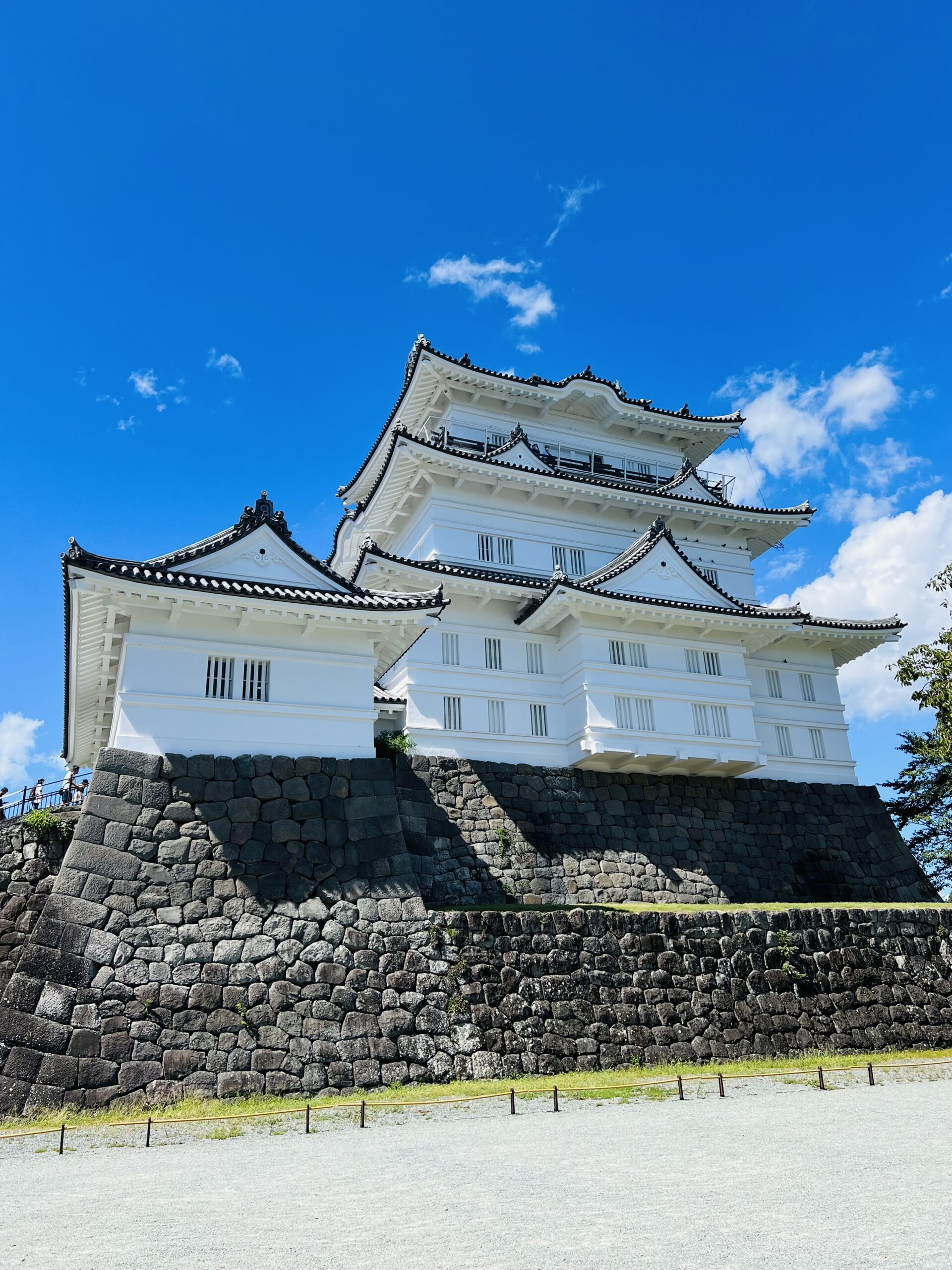 【信長の野望 出陣】神奈川・小田原城の場所【SSR北条氏康】