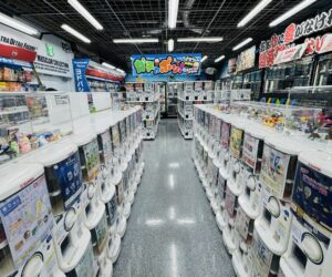 일본 여행 중, 가차가차에서 소중한 추억을 만들자!｜日本旅行中にガチャガチャで思い出を作ろう！